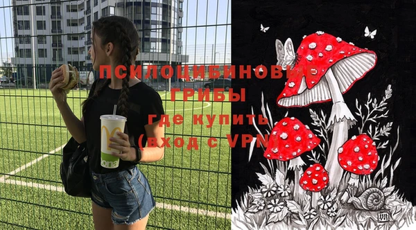 гидра Тында